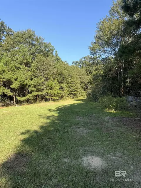 1067 County Road 7, Range, AL 36473 photo 26