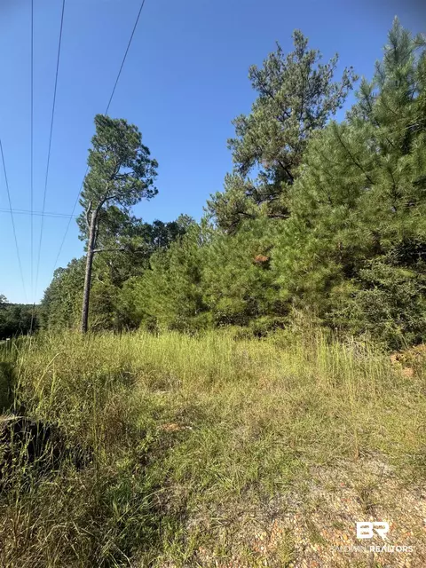 1067 County Road 7, Range, AL 36473 photo 10