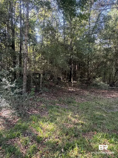 1067 County Road 7, Range, AL 36473 photo 15