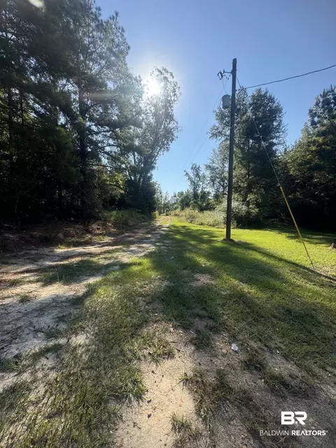 1067 County Road 7, Range, AL 36473 photo 21