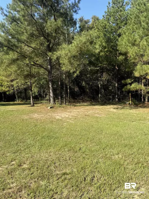 1067 County Road 7, Range, AL 36473 photo 24