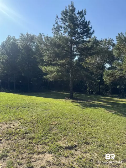 1067 County Road 7, Range, AL 36473 photo 25