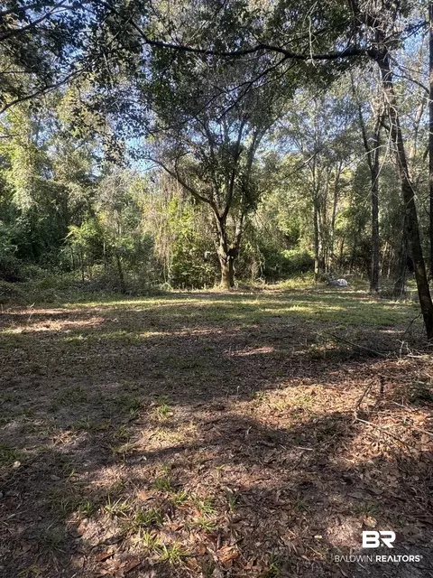 1067 County Road 7, Range, AL 36473 photo 14