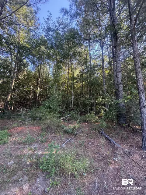 1067 County Road 7, Range, AL 36473 photo 17