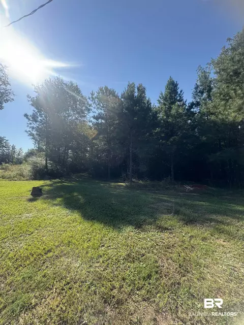 1067 County Road 7, Range, AL 36473 photo 23