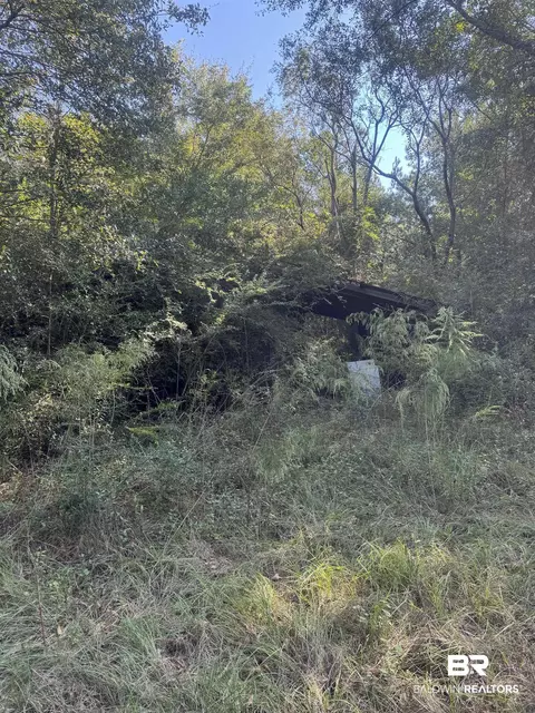 1067 County Road 7, Range, AL 36473 photo 20