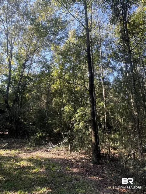 1067 County Road 7, Range, AL 36473 photo 16
