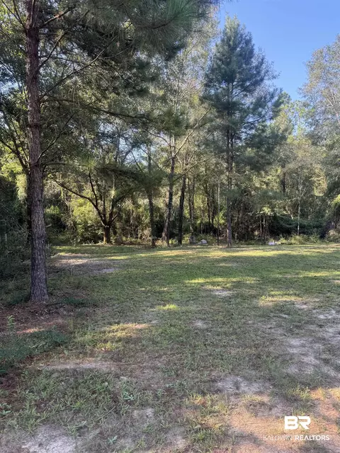 1067 County Road 7, Range, AL 36473 photo 27