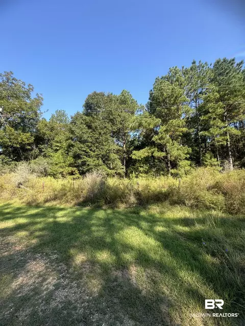 1067 County Road 7, Range, AL 36473 photo 12
