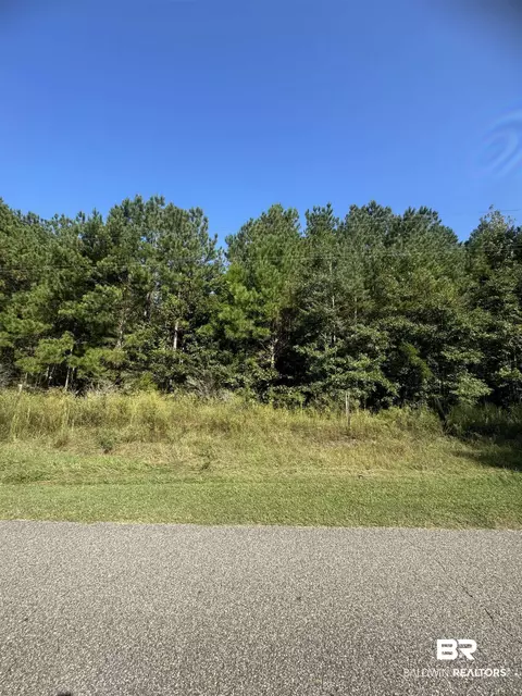 1067 County Road 7, Range, AL 36473 photo 11