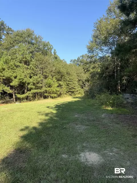 1067 County Road 7, Range, AL 36473 photo 26