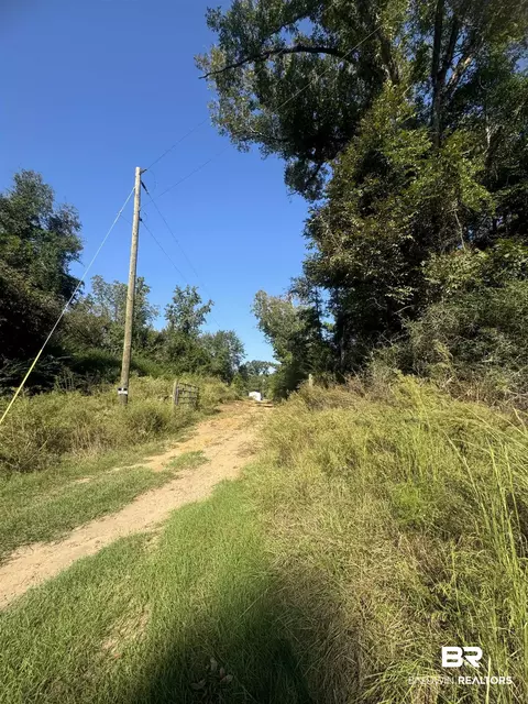 1067 County Road 7, Range, AL 36473 photo 13