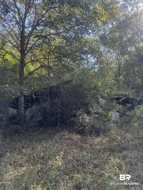 1067 County Road 7, Range, AL 36473 photo 19