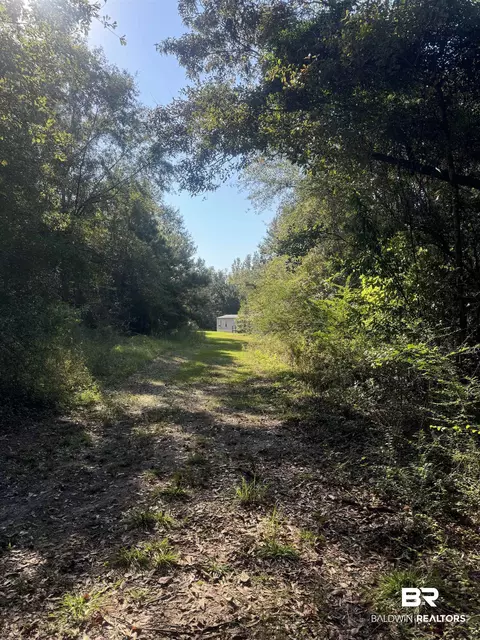 1067 County Road 7, Range, AL 36473 photo 22