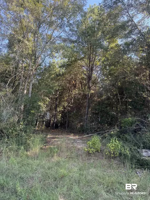 1067 County Road 7, Range, AL 36473 photo 18