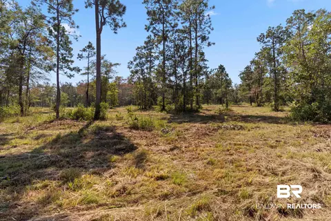 5 Foxtrap Rd, Axis, AL 36505 photo 7