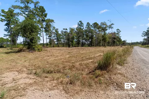 5 Foxtrap Rd, Axis, AL 36505 photo 5