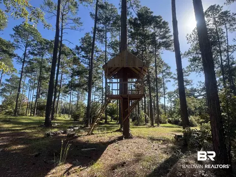 3097 Old Castleberry Rd, Brewton, AL 36426 photo 32
