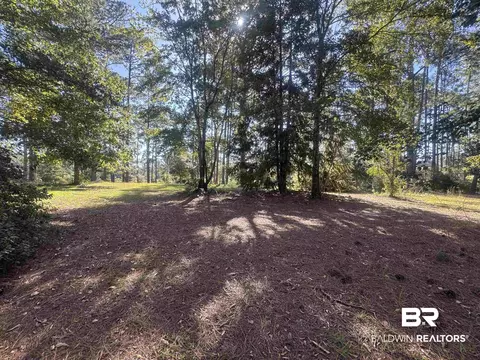 3097 Old Castleberry Rd, Brewton, AL 36426 photo 38