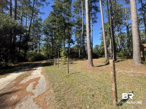 3097 Old Castleberry Rd, Brewton, AL 36426 photo 27