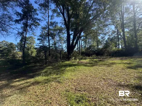 3097 Old Castleberry Rd, Brewton, AL 36426 photo 39