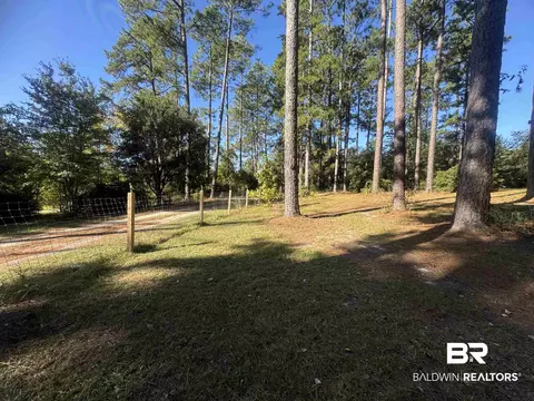 3097 Old Castleberry Rd, Brewton, AL 36426 photo 33