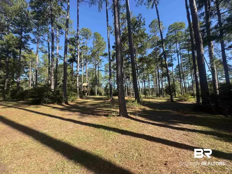 3097 Old Castleberry Rd, Brewton, AL 36426 photo 34