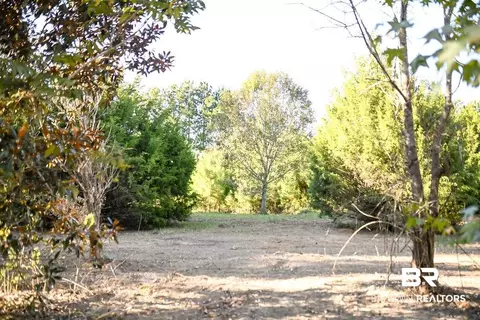 2150 Jerkins Loop, Atmore, AL 36502 photo 31