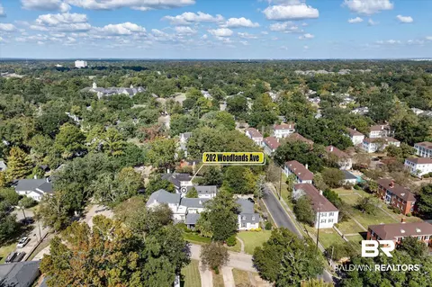 202 Woodlands Ave, Mobile, AL 36607 photo 49