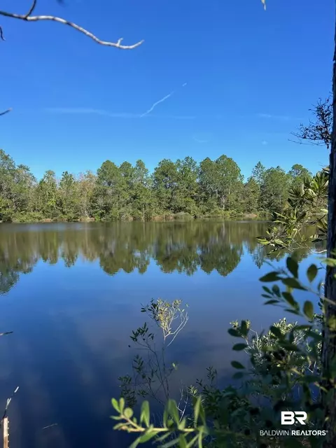 14780 Bellingrath Rd, Coden, AL 36523