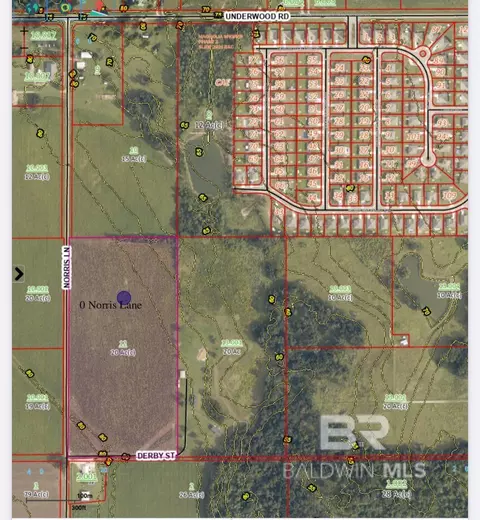0 Norris Ln, Foley, AL 36535