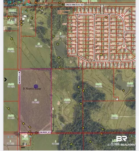 0 Norris Ln, Foley, AL 36535