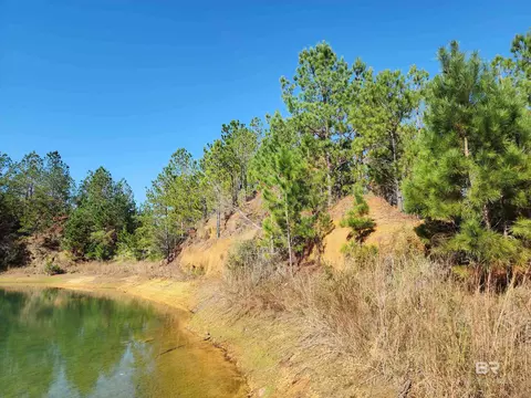 00000 Tower Rd, Uriah, AL 36480