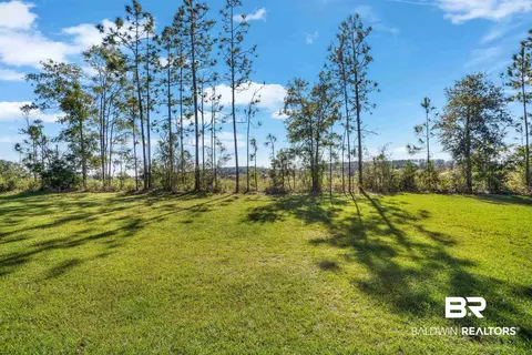 11760 Elemis Dr, Daphne, AL 36526 photo 36