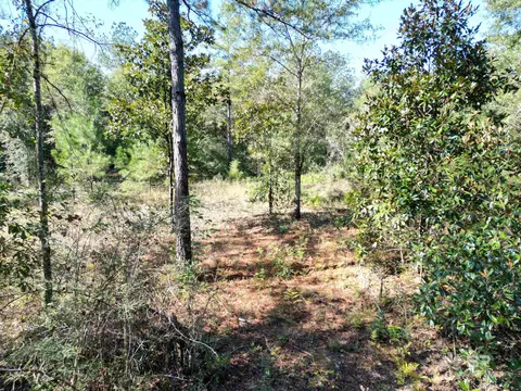 00 Oil Well Rd, Flomaton, AL 36441