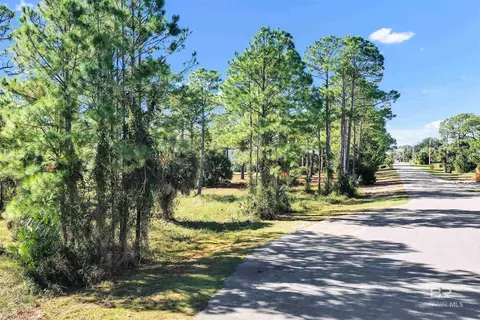 Carondelette Drive, Orange Beach, AL 36561