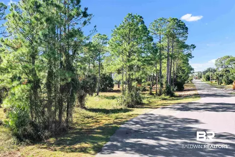 Carondelette Drive, Orange Beach, AL 36561