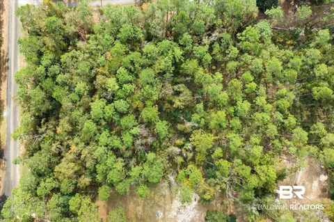 0 Coleman Ln, Elberta, AL 36535 photo 14