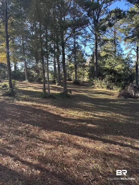 35840 County Road 39, Stapleton, AL 36578 photo 15