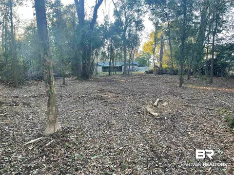 0 Shady Brook Dr, Mobile, AL 36606 photo 5