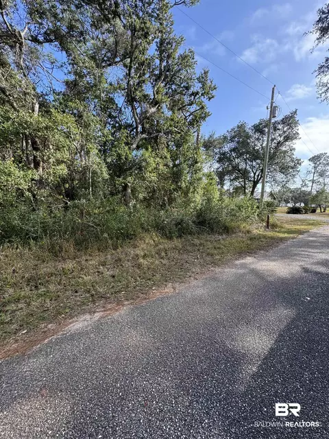 0 Marjon Ln, Elberta, AL 36530 photo 2
