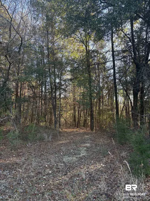 756 Ted Bates Rd, Evergreen, AL 36401