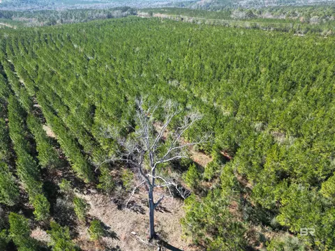 lot3 Robinsonville Rd, Atmore, AL 36502