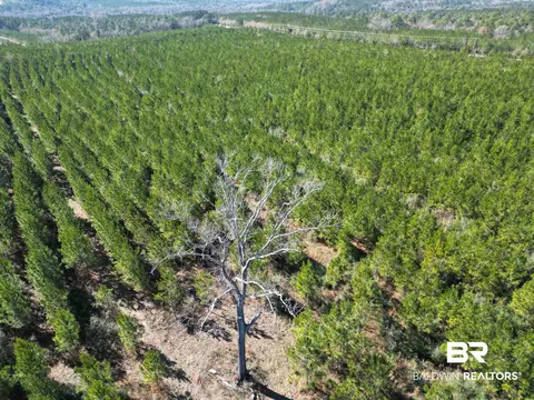 lot3 Robinsonville Rd, Atmore, AL 36502