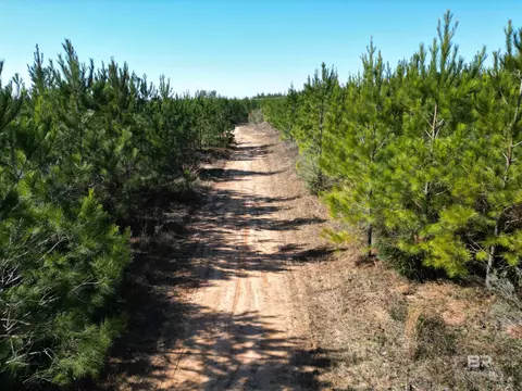 lot4 Robinsonville Rd, Atmore, AL 36502