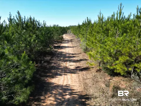 lot4 Robinsonville Rd, Atmore, AL 36502