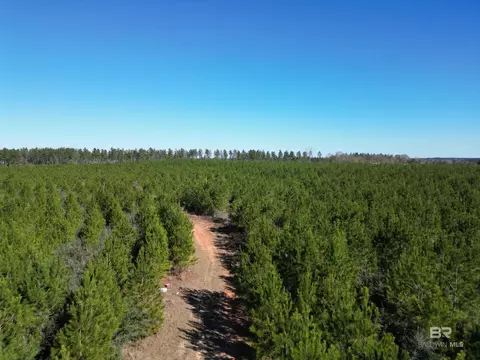 lot5 Robinsonville Rd, Atmore, AL 36502