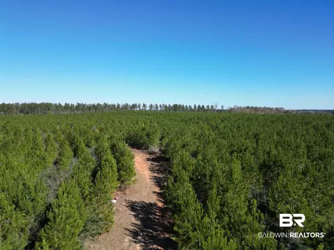 lot5 Robinsonville Rd, Atmore, AL 36502