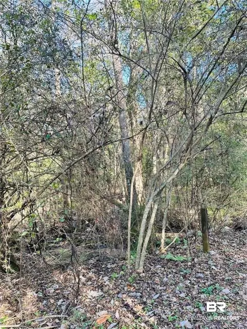 0 N Branson Dr, Mobile, AL 36608 photo 7