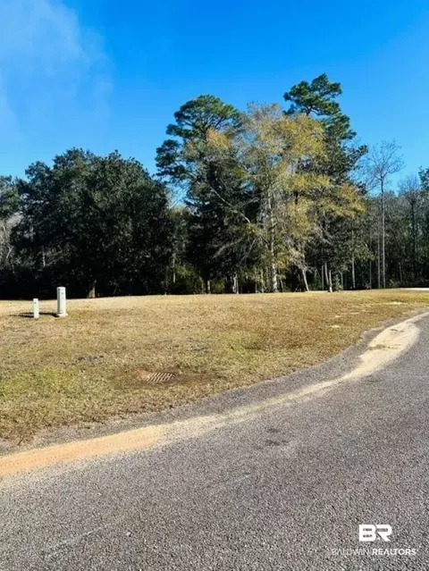 0 N Branson Dr, Mobile, AL 36608 photo 4